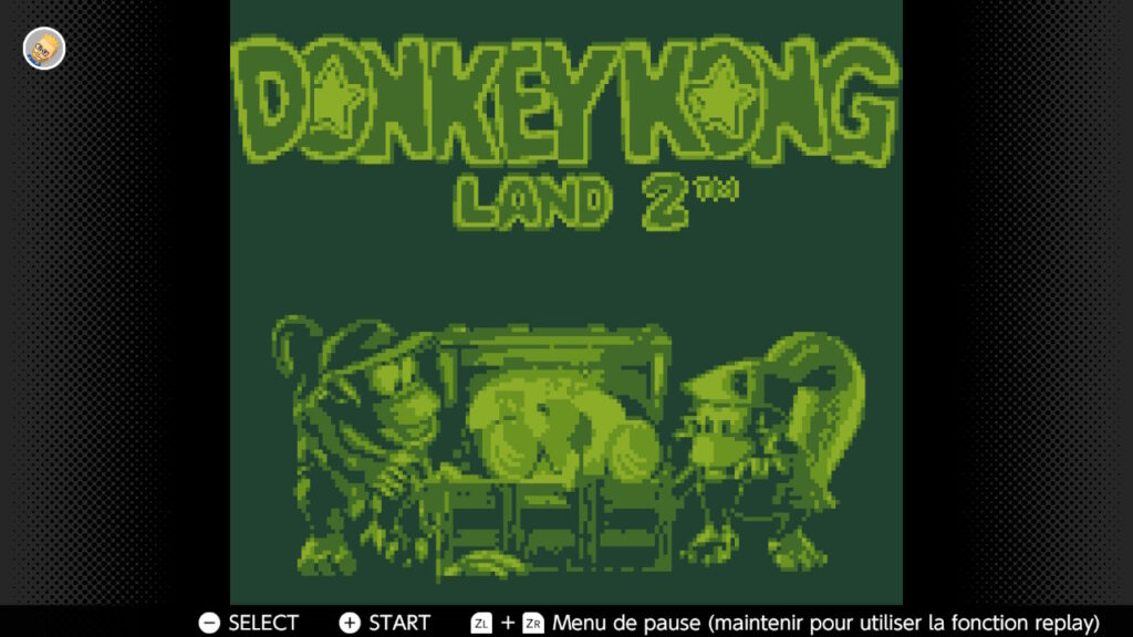 Donkey Kong Land 2 jeu vidéo rétro pixel art avec personnages de singe et dinosaure, pour fans de jeux de plateforme classiques.