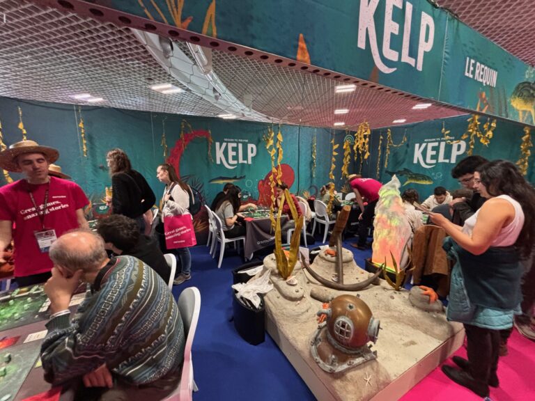 Kelp