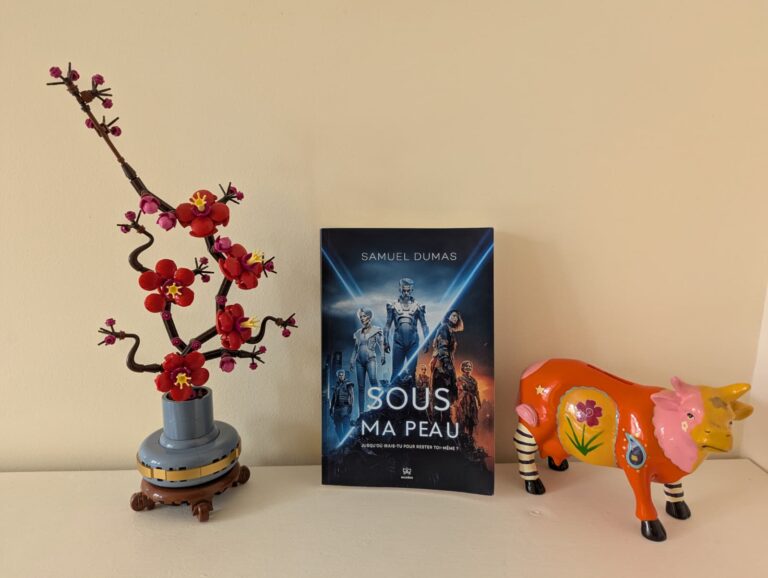 Fichier: deco-air-gaming-france.jpg.