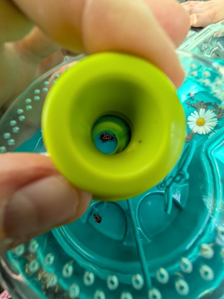 Viseur d'observation d'insectes pour l'Observatoire des Insectes, permettant d'étudier de près divers insectes dans leur environnement naturel.