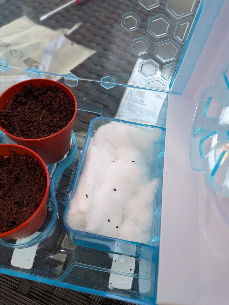 Serre high tech équipée de systèmes innovants pour la culture hydroponique, idéale pour cultiver des plantes en intérieur avec contrôle précis de l'humidité et de la température.