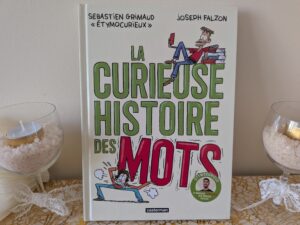 Couverture du livre La curieuse histoire des mots par Sébastien Grimaud et Joseph Falzon, illustré, avec un design coloré et ludique.