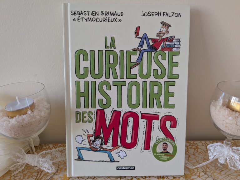 Couverture du livre La curieuse histoire des mots par Sébastien Grimaud et Joseph Falzon, illustré, avec un design coloré et ludique.