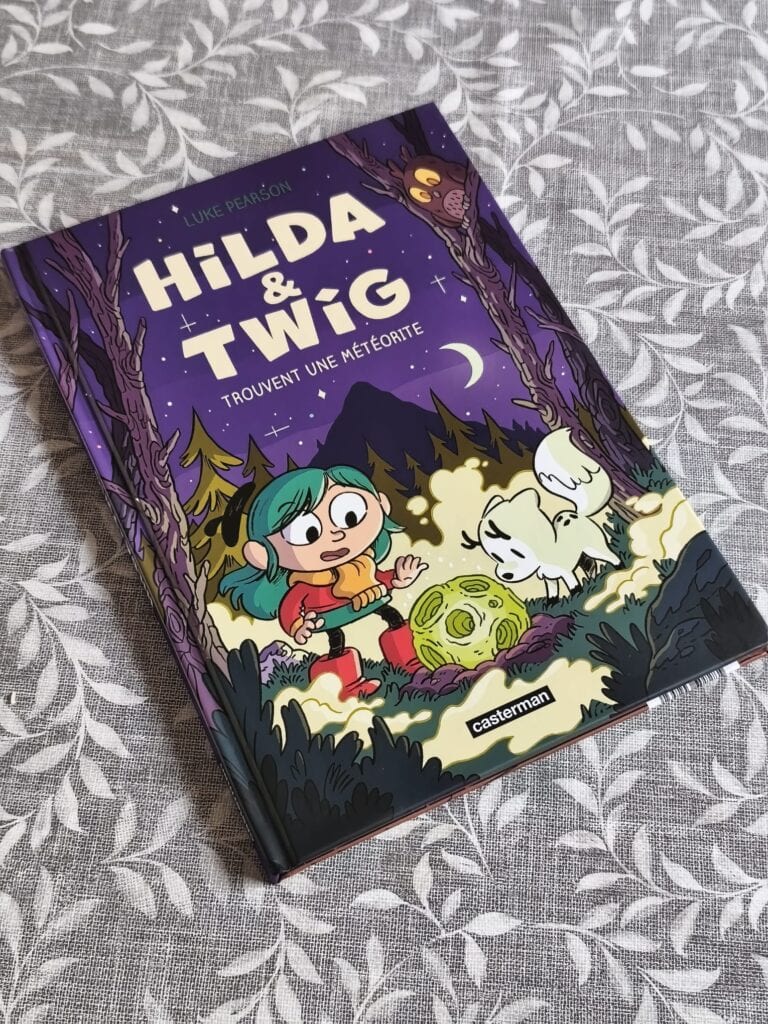 Couverture du livre Hilda & Twig Trouvent une météorite avec Hilda, Twig, et un paysage nocturne mystérieux.